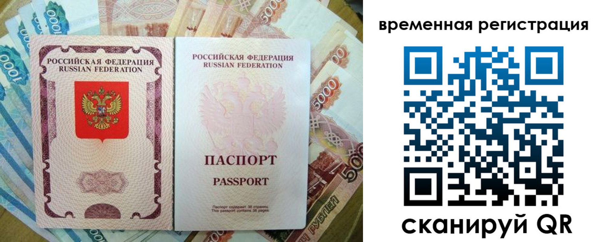 прописка для школы в Чкаловске